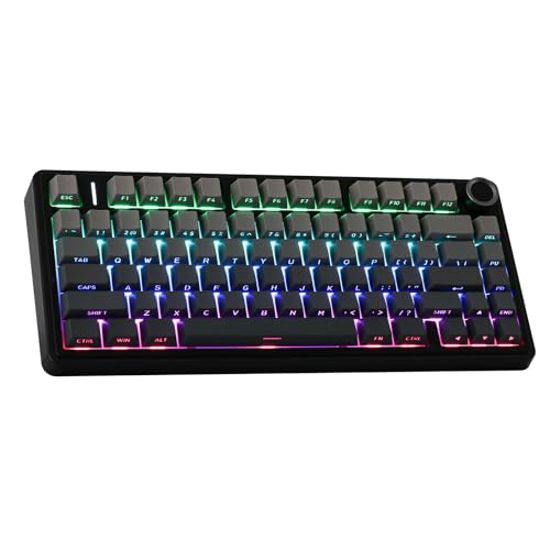 EPOMAKER x Aula F75 Gasket Mechanical Keyboard, 75% Wireless Hot Swappable Gaming Keyboard with Five-Layer Padding&amp;Knob, Bluetooth/2.4GHz/USB-C, RGB (Black Gradient, LEOBOG Reaper Switch)