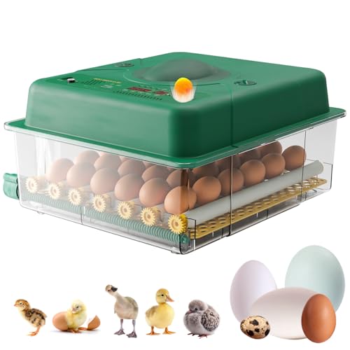 36 Egg Incubator with Auto Egg Turner Humidity Control, Eggs Hatching Incubators for Chicken Duck Goose Pigeon – Digital Temperature Control, Built-in Egg Candler – Ideal for Home Farm Industrial Use