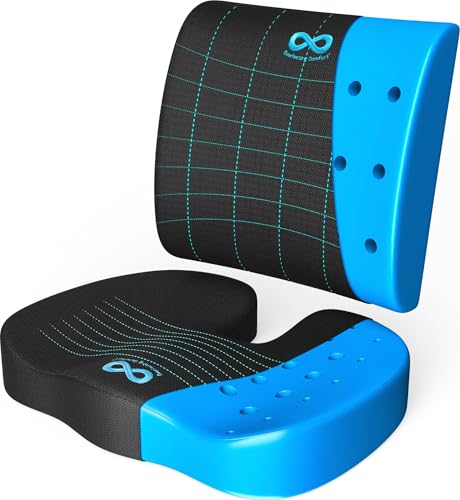 Everlasting Comfort Lumbar Support &amp; Office Chair Cushion Combo - Gel Memory Foam Chair Cushions for Desk, Car Seat, Travel - Back and Coccyx Support