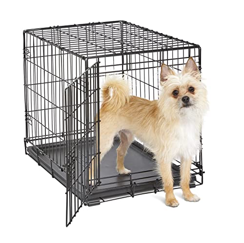 New World Pet Products Folding Metal Dog Crate; Single Door 24"
