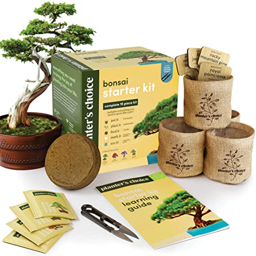 New Bonsai Starter Kit - Gardening Gifts for Women &amp; Men - Unique DIY Hobbies, Crafts Hobby Kits for Adults - Unusual Easter Gift Ideas for Garden Plant Lovers, or Gardener Mother (Bonsai)